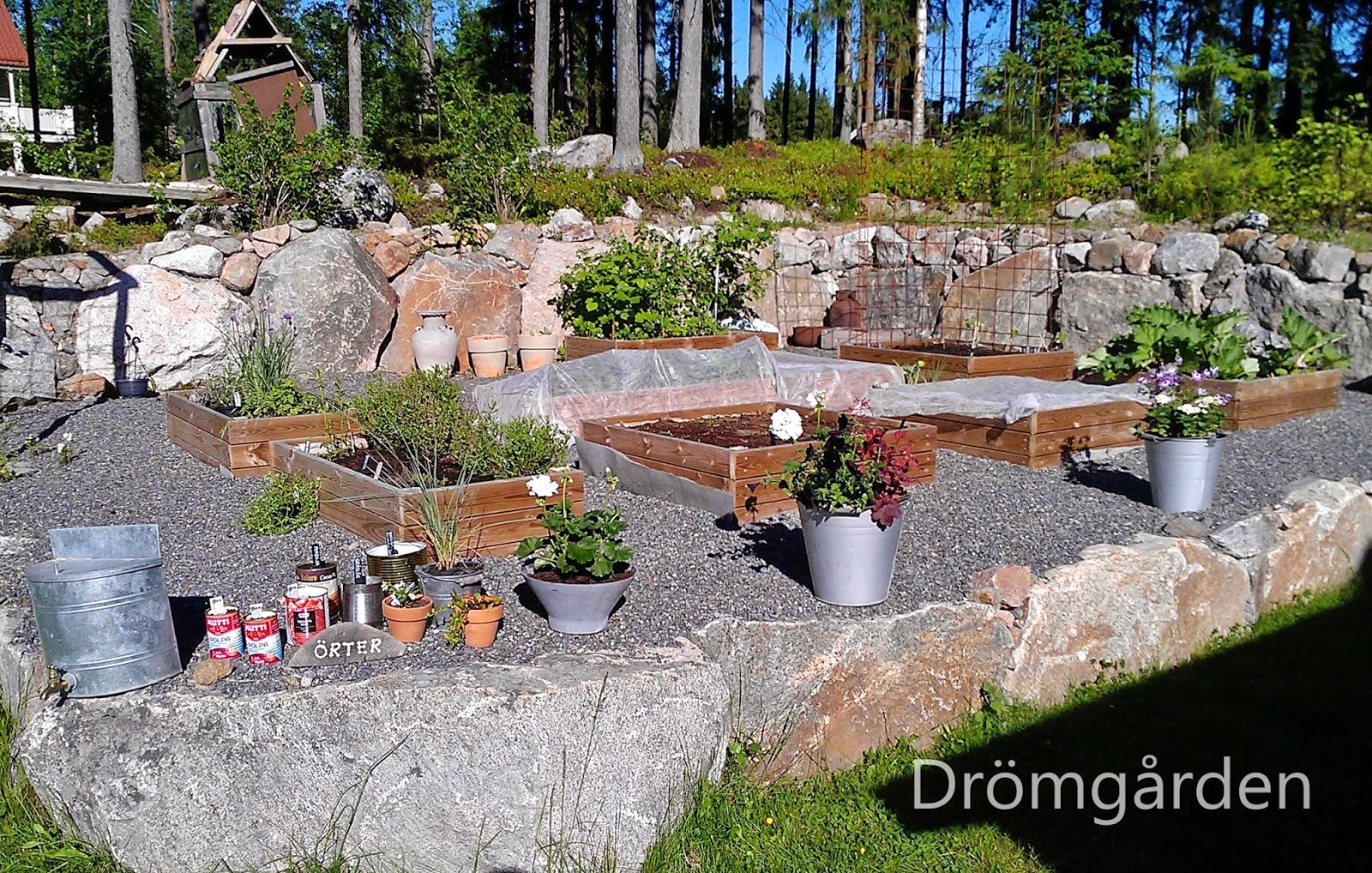 plantera i trädgården
